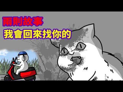 【兩則故事】我會回來找你的...|貓·復仇|微疼