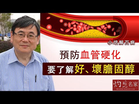 【字幕】膽固醇有分好壞 顧小培教你預防血管硬化《小培解百病》(2021-02-21)