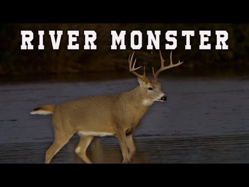 Monster River Buck | Oklahoma Whitetails