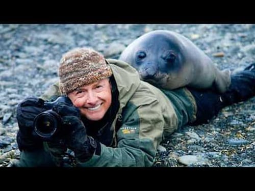 Best Animals Surprised Photographers in an Unexpected Way 🤪 Funny Animal Videos 2025