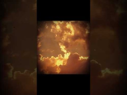 hufflepuff aesthetic edit 💛 || #harrypotter #gyriffindor #fyp