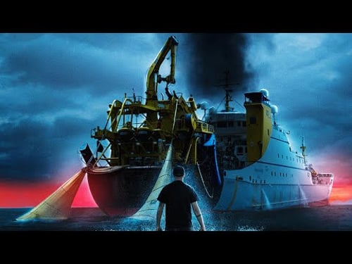 J'ai enquêté sur le scandale de la pêche industrielle en France