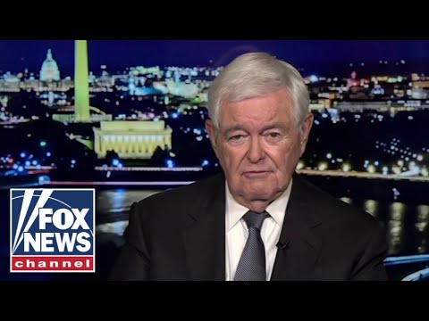 Newt Gingrich: These guys are 'CRAZY'
