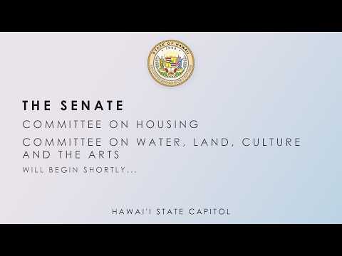 HOU-WLA Public Hearing 02-17-2026