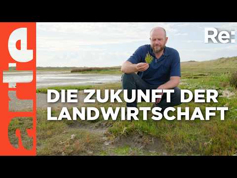 Bedrohte Lebensmittel: Olivenöl | ARTE Re: