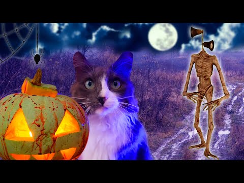 A REAL-LIFE SIREN-HEAD FOR HALLOWEEN! PETS SUMMON A SIREN-HEAD FOR HALLOWEEN
