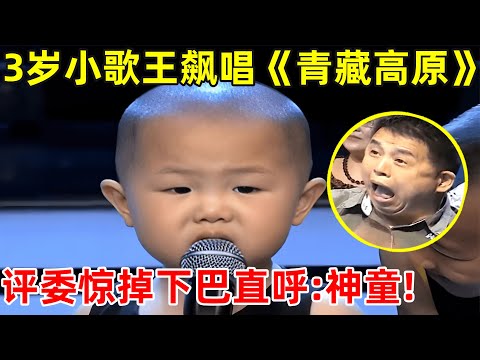 3岁小小歌王唱《青藏高原》,一开嗓评委惊掉下巴!直呼:神童啊【家有小明星】