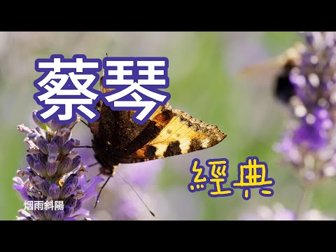 蔡琴 經典 (歌詞字幕)(朋友們希望有歌詞字幕我加入字幕謝謝)