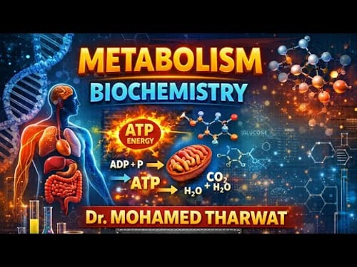 Metabolism - Protein Metabolism Part 2