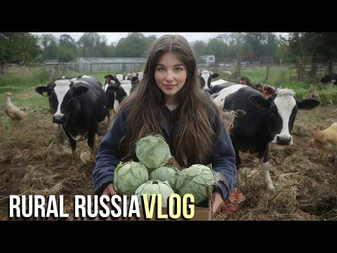 A Vet Showed Up…Then My Goat Started Crying 🐐💔 | Siberian Farm Drama + Barn Fix & Wormy Cabbage! 🥬