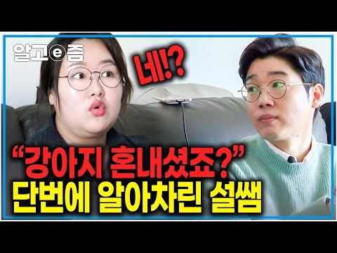 "강아지는 이렇게 혼내세요" 강아지의 행동을 보고 단번에 훈육 사실 알아차린 설쌤|세상에 나쁜 개는 없다|알고e즘
