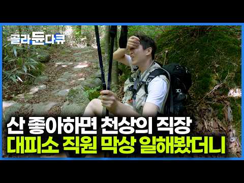 출근만 10시간 걸린다. 주6일 2교대 근무 산꼭대기 대피소 직원으로 일해보니|지리산 대피소 24시|PD로그|#골라듄다큐