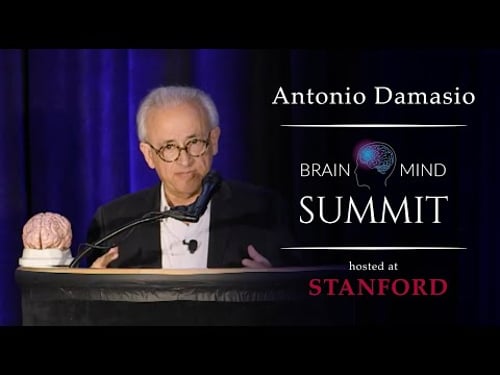 Antonio Damasio - Feeling and Consciousness