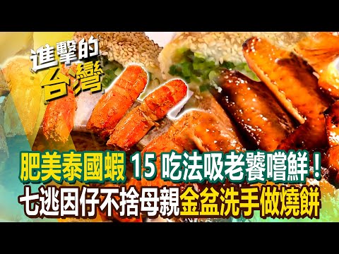 【2023最新】「肥美泰國蝦」15吃法吸老饕嚐鮮!七逃因仔不捨母親「金盆洗手做燒餅」《進擊的台灣》第490集|陳怡廷 (宜蘭,新北,桃園必吃美食)