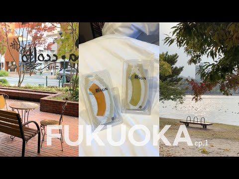 vlogㅣep1.후쿠오카는 초면입니다만? (우동비요리, 라콜토, 오호리공원, 히키니쿠토코메, 텐진중앙공원, 후르츠가든신선, 야키니쿠바쿠로, 캐널시티)
