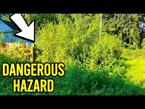 SHOCKING Discovery in Overgrown Backyard, This could Kill someone