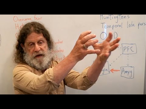 32-Individual Differences - Robert Sapolsky's Human Behavioral Biology