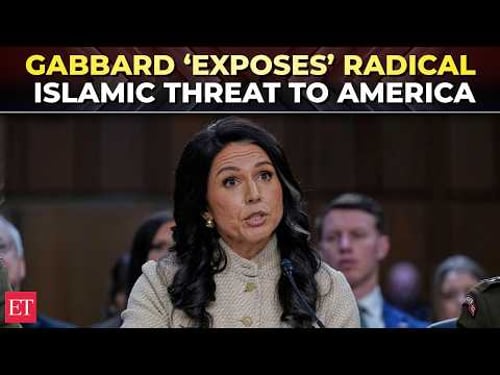 ‘Islamist groups spreading PROPAGANDA!’: Tulsi Gabbard’s explosive Sharia law warning stuns Senate