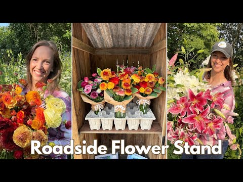 Selling Cut Flowers at a Roadside Flower Stand for a Year / Northlawn Flower Farm