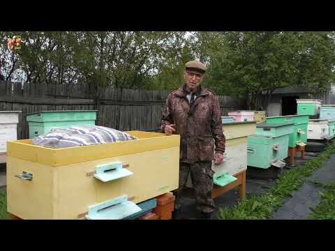 🤜Бьют клеща наповал❗