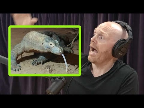 Komodo Dragons Freak Bill Burr Out!