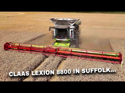4Kᵁᴴᴰ Harvest 2025: Thurlow Estate - Claas Lexion 8800 harvesting wheat in Little Thurlow, Suffolk.