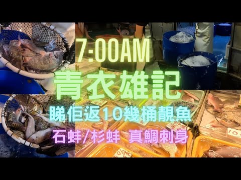 一早7:00去青衣雄記😎睇人返貨最開心🤣10幾桶靚魚😍第一手揀到海石蚌🤩又有杉蚌/真鯛/黃腳/白鱲....好多魚呀~fishcutting香港海鮮~社長遊街市Seafood