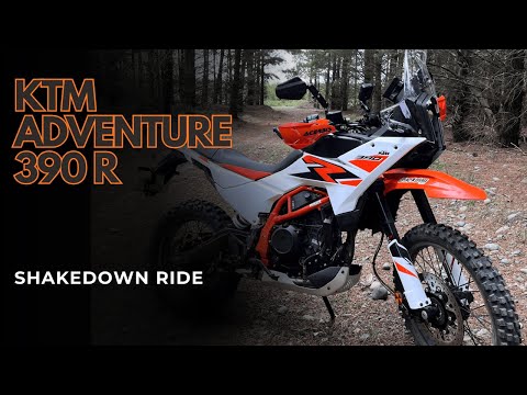 KTM 390 Adventure R shakedown — trees, traction control & maybe a stall..?