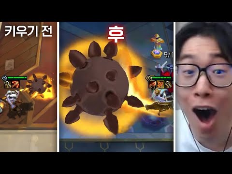 트리스타나 키우기의 달인