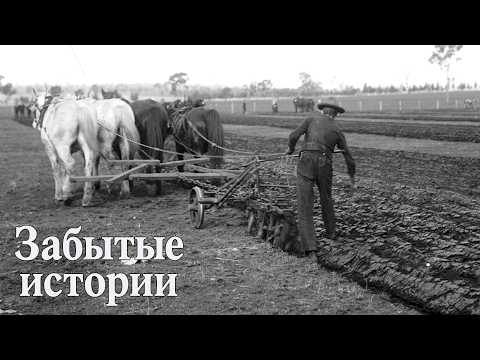 Who actually invented the plow?