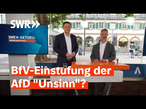 Jan Bollinger von der AfD Rheinland-Pfalz im SWR Sommerinterview | SWR Aktuell