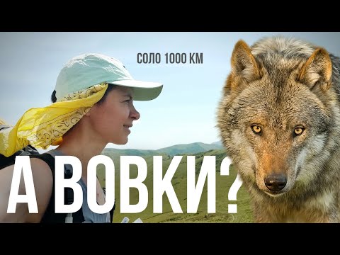 02 🌟 64 дні одна у горах| ТРАВМА| Тікаю від аватарів| Нетуристичне Закарпаття| Пікуй | ЗТШ |3-5 дні