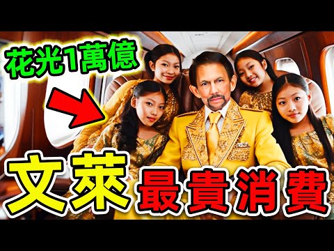 文萊國王最貴的10個消費!600套豪宅,7000輛汽車,月花5000萬美元,私吞13000億國庫,堪稱“史上最敗家人類”。|#世界之最top #世界之最 #出類拔萃 #腦洞大開 #top10 #汶萊