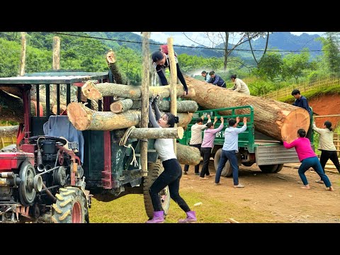 Agricultural vehicles, logging and transporting timber is extremely difficult #agricultural #farm