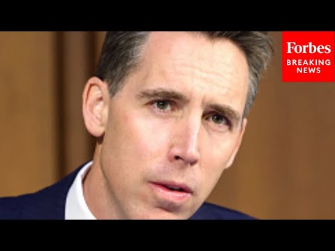 Josh Hawley Leads Senate Judiciary Hearing On 'AI Industry's Mass Ingestion Of Copyrighted Works'