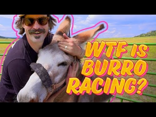 A Beginner's Guide and Hilarious Attempt at Colorado's Burro Racing | Paddy O Sucks at...