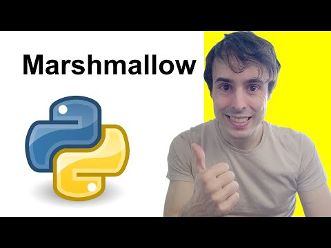 Mapping and Validating with Marshmallow | Flask and Python Backend #4