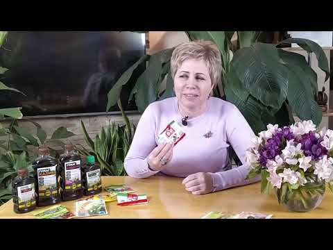 ГУМАТЫ, ЭПИН, ЦИРКОН, БИО ПРЕПАРАТЫ ДЛЯ САДА Как применять