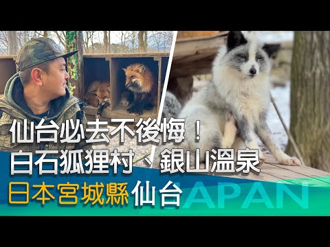 仙台必去不後悔!狐狸村及銀山溫泉~狐狸我來了!