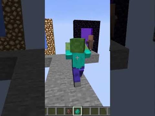 which portal will the villager choose?