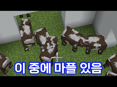 이 녀석 소띠라고 소처럼 행동 겁나 잘하네;; - 라스트 소탠딩 (마인크래프트)