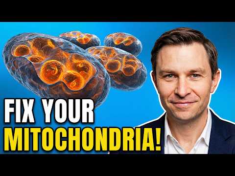 4 Foods To Make New Mitochondria (Scientific Proof) | Dr. David Sinclair)