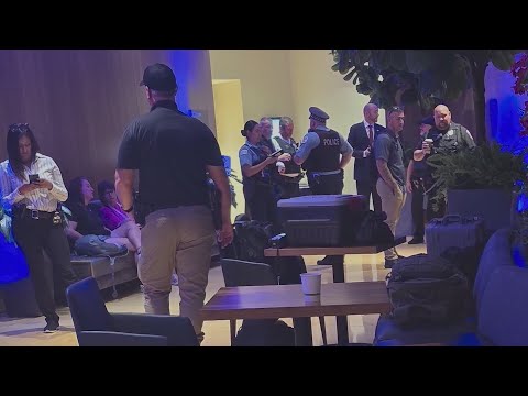Police and FBI investigate maggot incident at DNC breakfast in Chicago
