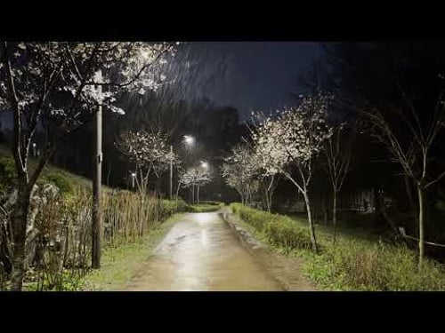 SPRING RAIN AT NIGHT ON A WALKING PATH. #rain #relax #sleep #insomnia #soothing
