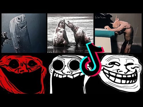 🥶 Coldest TrollFace Compilation 🥶 Troll Face Phonk Tiktoks 🥶 Coldest Moments Of All TIME #9