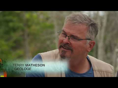 Das Geheimnis im Sumpf