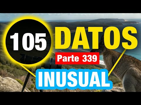 105 Datos Excepcionales En Los Que No Creerás