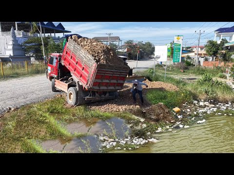 Started Landfill A New Project!Dump Truck Loading Land Flood Area,Expert Bulldozer D21 Pushing Soil