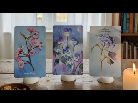 25 оныг 12 сард хэрхэн амжилттай үдэх 💀 25 оны төгсгөлд ирэх шагнал 🎁 зөвлөгөө 🩷