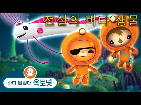 바다 탐험대 옥토넛 - ✨ 전설의 바다 생물 🐋 - 모음집